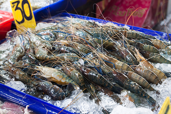 กุ้ง
