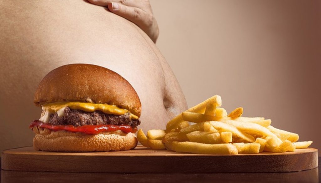 hamburger-2683042_640 ไขมันรอบเอว, ไขมันในร่างกาย