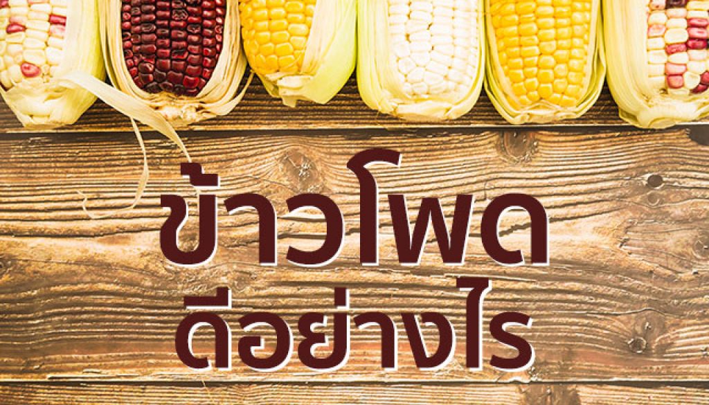 ข้าวโพด