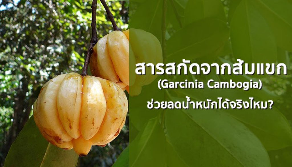 สารสกัดจากส้มแขก