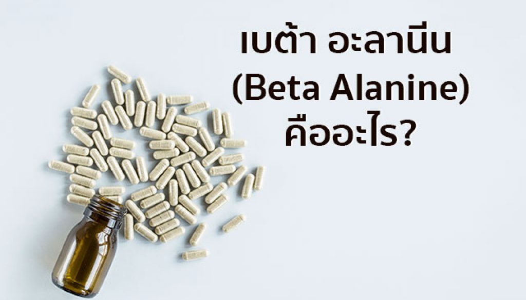 เบต้า อะลานีน, beta alanine