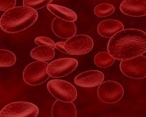 ฺRed Blood Cell