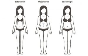 Body Type