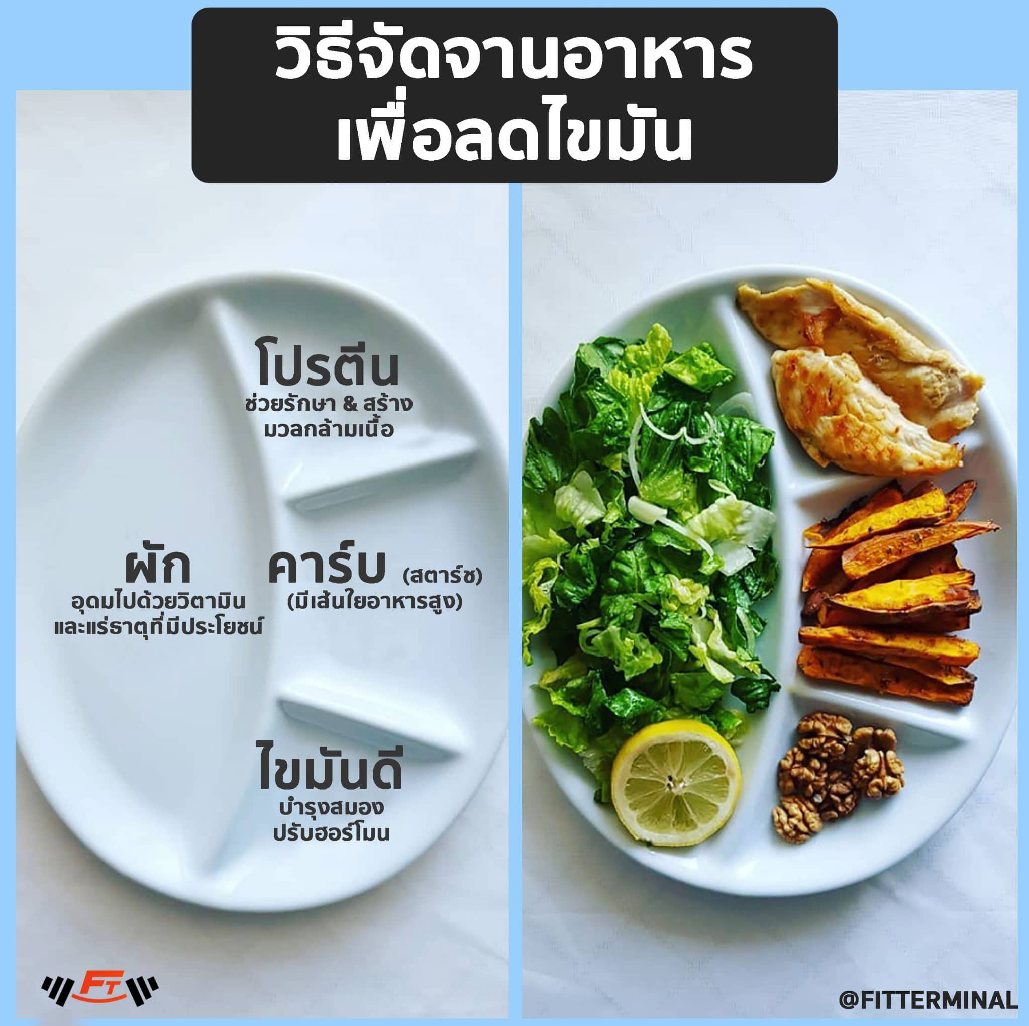 Balanced Diet