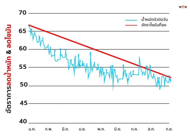 อัตราการลดไขมัน