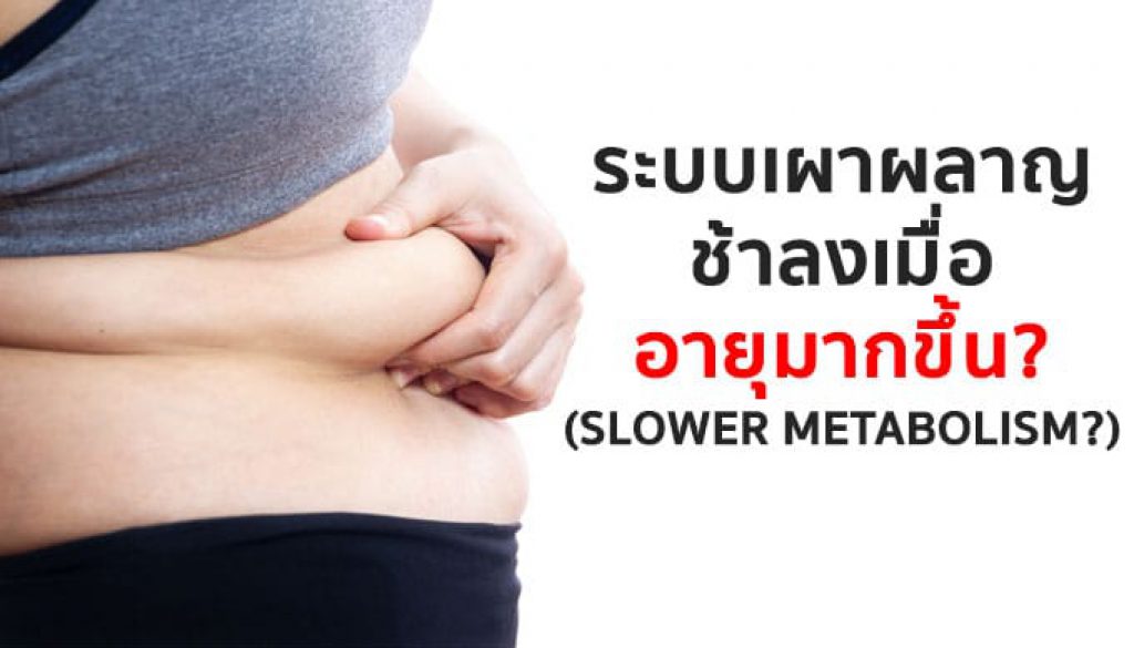 ระบบเผาผลาญช้าลง-เมื่ออายุมากขึ้น