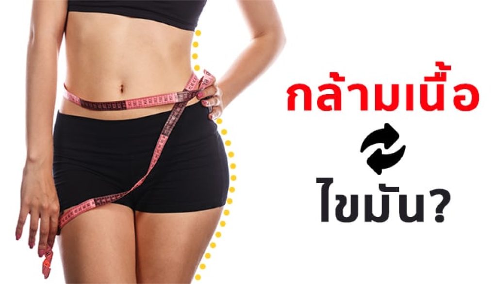 สร้างกล้ามเนื้อมาแทนที่ไขมันหน้าท้อง