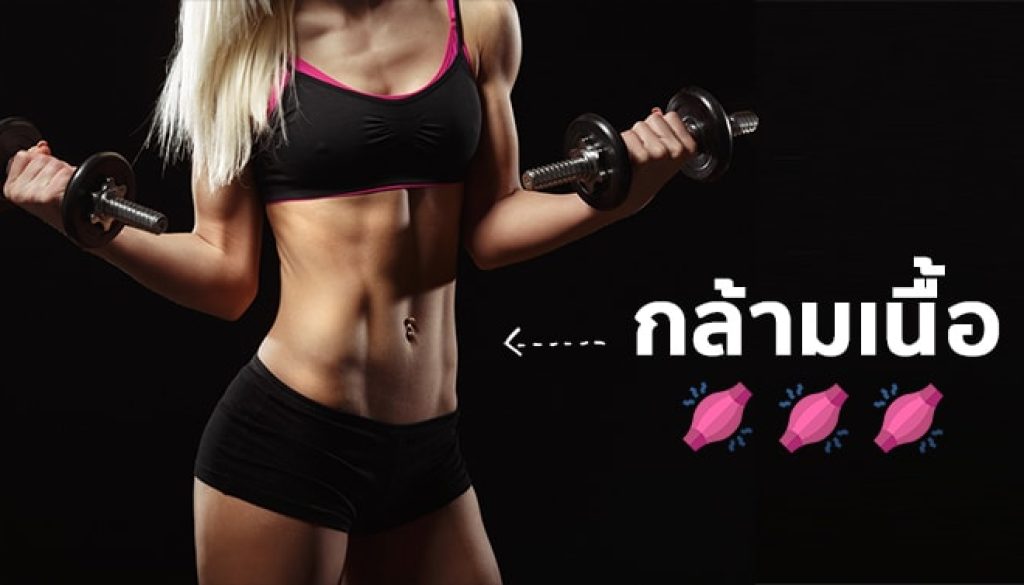 สร้างกล้ามเนื้อหลังอายุ-40